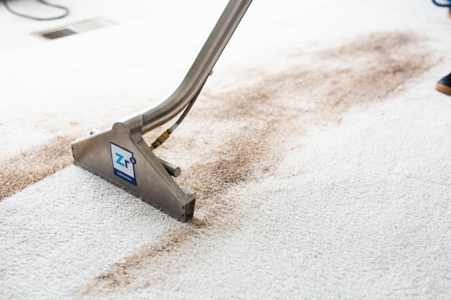 paquete válvula Disciplina The best cleaning method for your carpet Toowoomba