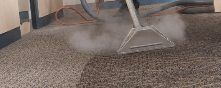 carpet steam cleaning toowoomba